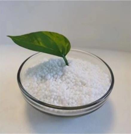White Granular Nitrogen Fertilizer